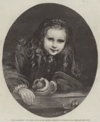 Plezier of Kattekwaad